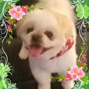 Meet your Posher, Janice